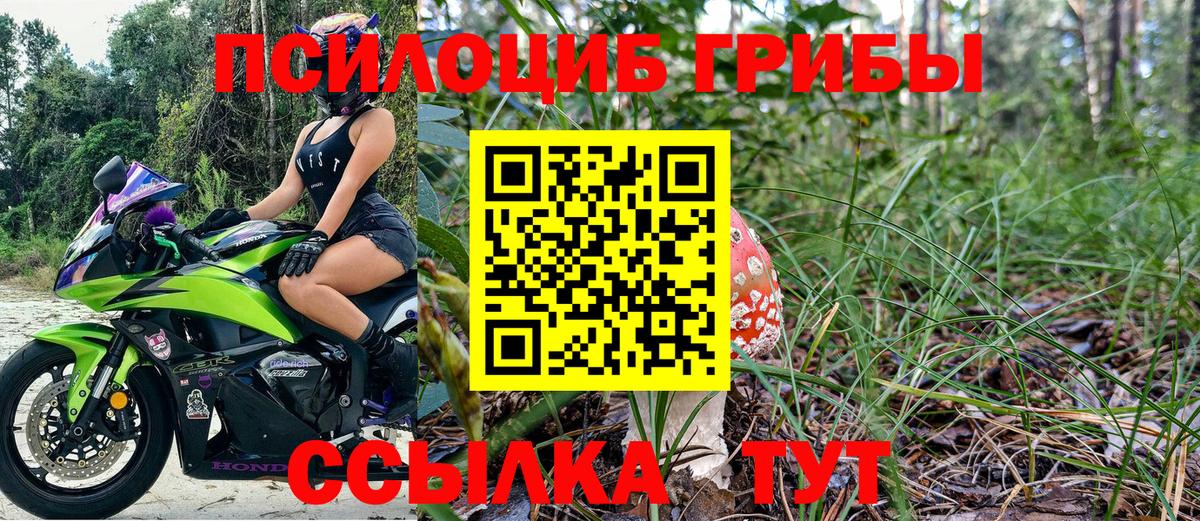 Галлюциногенные грибы Cubensis  Вход с VPN  Галлюциногенные грибы Magic Shrooms  магазин продажи   Рассказово 